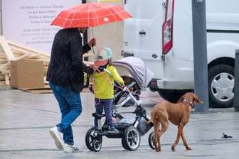 Familie mit Hund geht im Regen spazieren (Symbolbild): In den kommenden Tagen sollten Menschen in Hamburg besser einen Regenschirm dabei haben.
