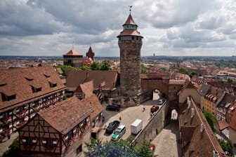 Wanderfalke brütet wieder auf Nürnberger Kaiserburg