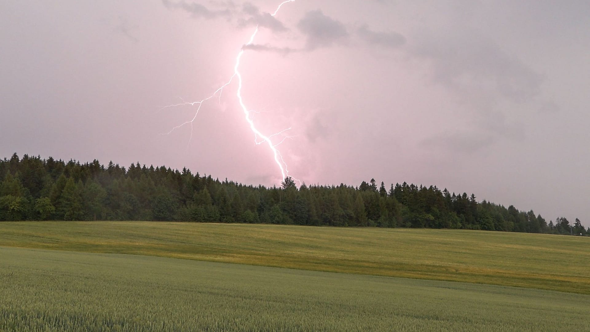 Gewitter in Sachsen