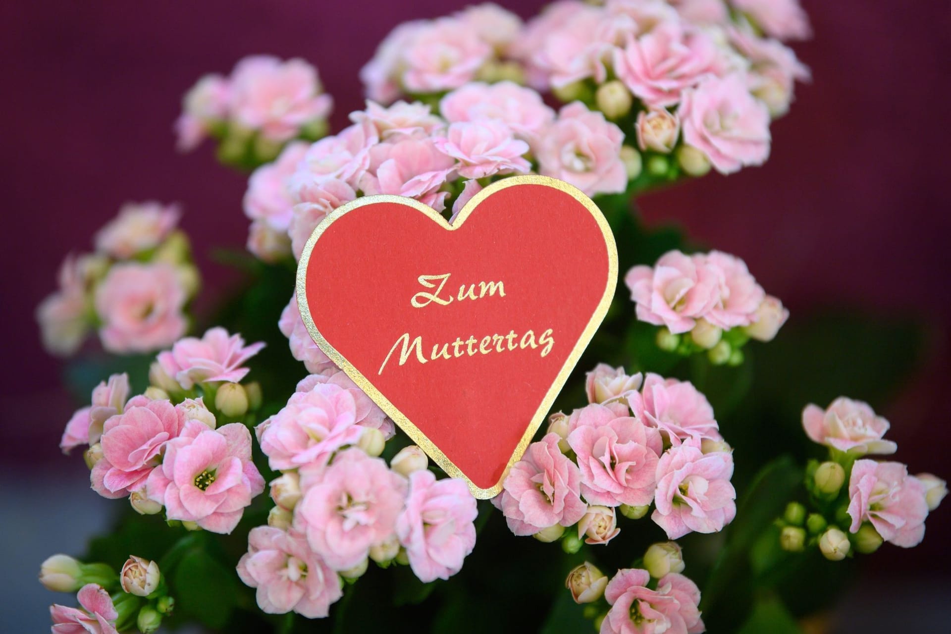Muttertag