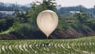 Ein offenbar aus Nordkorea stammender Ballon in einem Reisfeld in Südkorea: Müll aus der Luft.