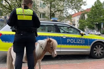 "John Boy" mit einer Beamtin vorm Streifenwagen: Das Pony hat einen Polizeieinsatz ausgelöst.