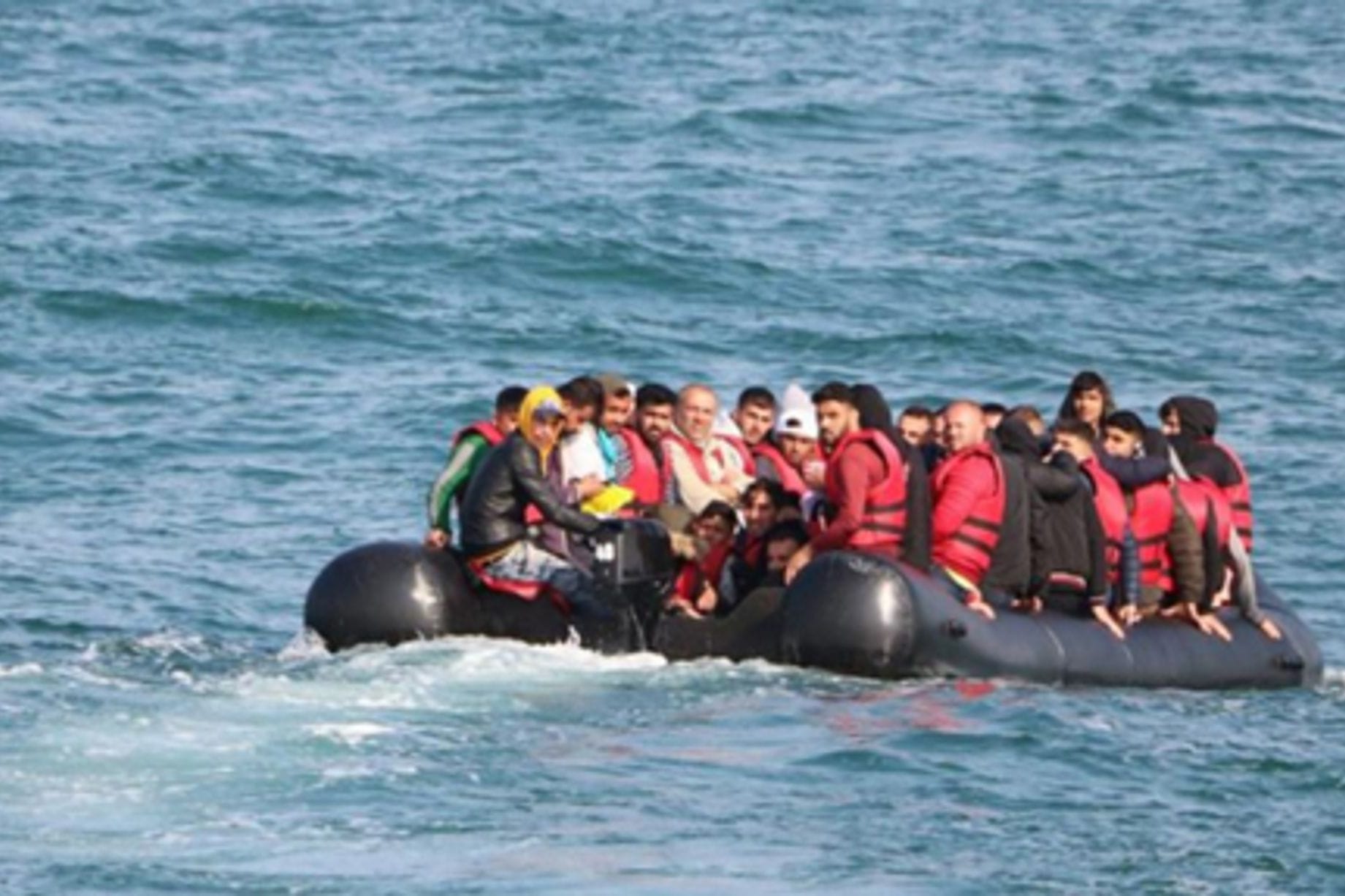 Migration