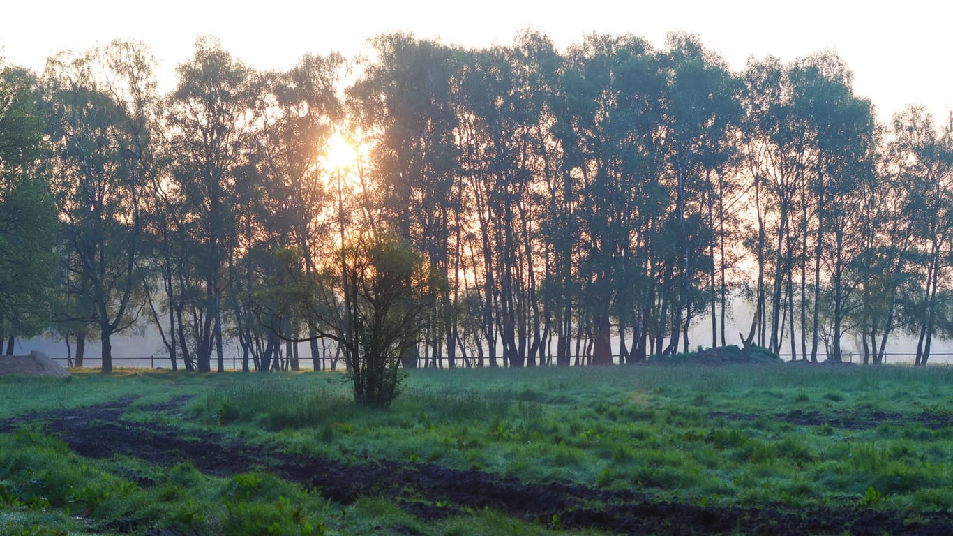 Die Sonne geht am Morgen nahe der Ortschaft Elm hinter Bäumen auf. Zehn Tage nach dem Verschwinden des sechs Jahre alten Arian wurde die großangelegte Suche eingestellt.