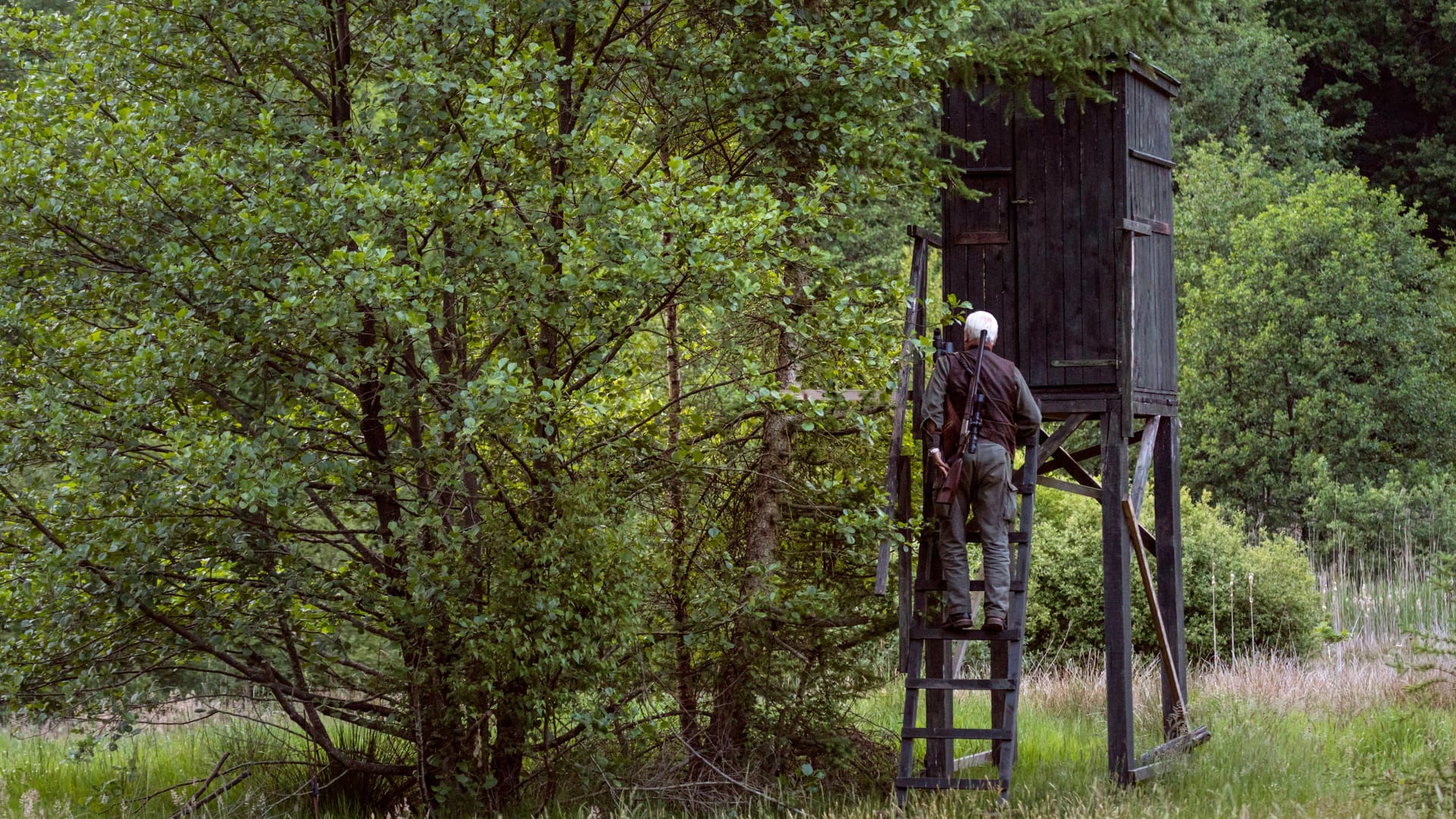 Jäger am Hochsitz (Archivbild): Ein Jagdausflug in Mittelfranken entwickelte sich zum Familiendrama.