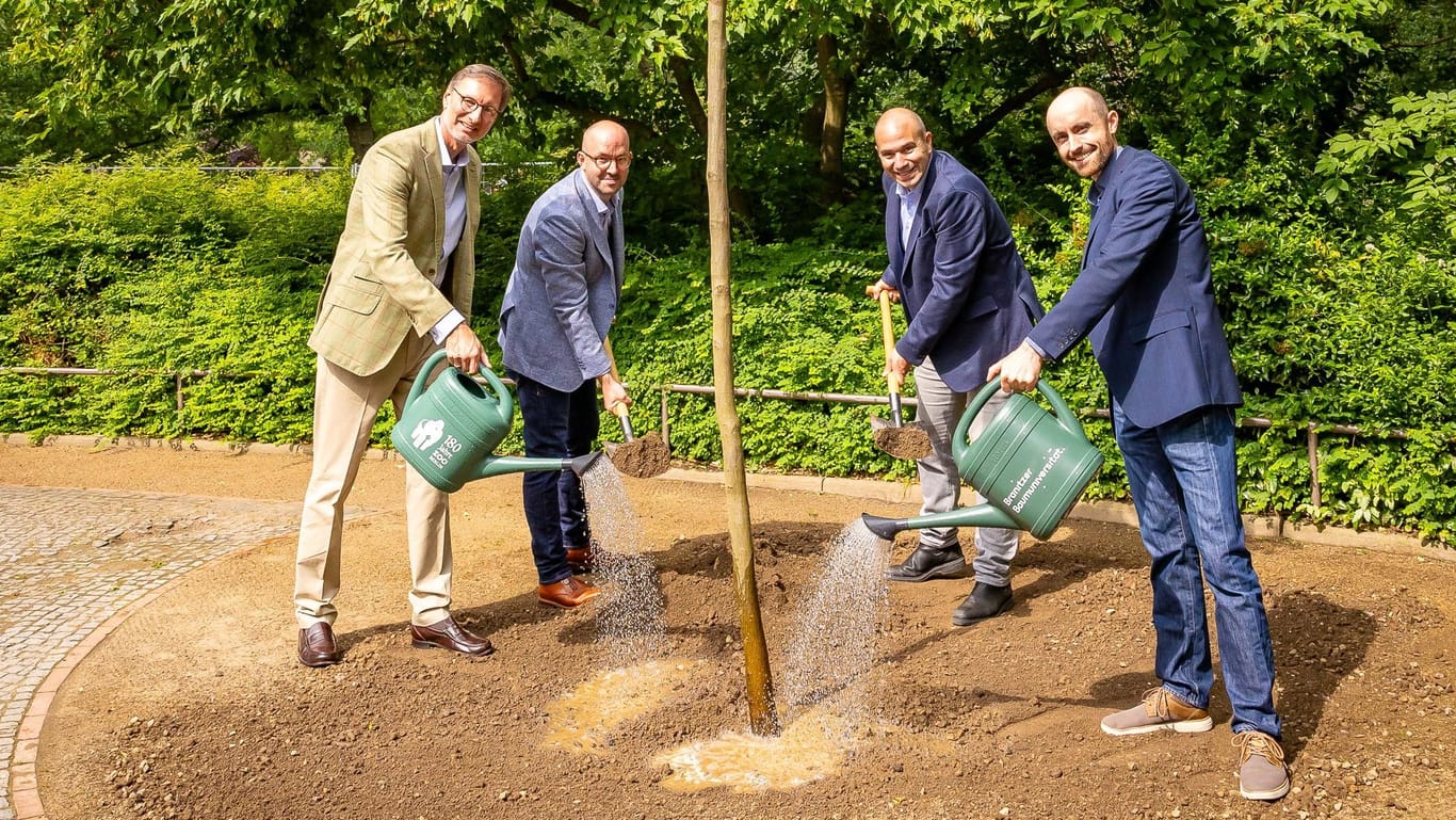 Dr. Knieriem, Herr Volmering, Herr Keuck und Herr Haase gießen die Hainbuche im Zoo Berlin: Der Baum ist ein Geschenk der Branitzer Baumuniversität.