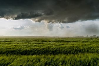 Eine dunkle Gewitterzelle mit heftigem Sturm zieht über ein Getreidefeld: Wer nicht auf den Schaden sitzen bleiben möchte, sollte sich gut versichern.
