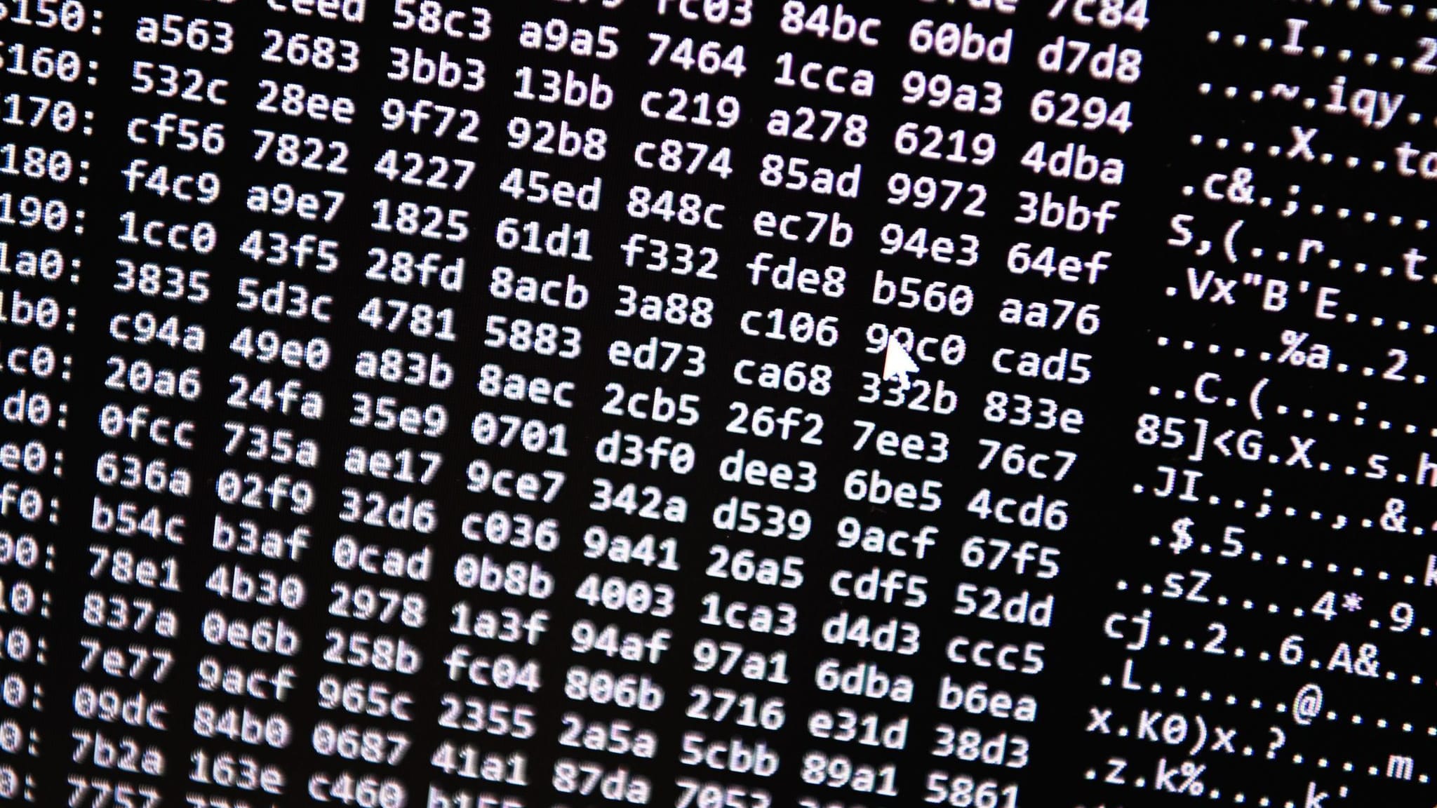 Regierung und Polizei betroffen: Hackerangriff dauert an