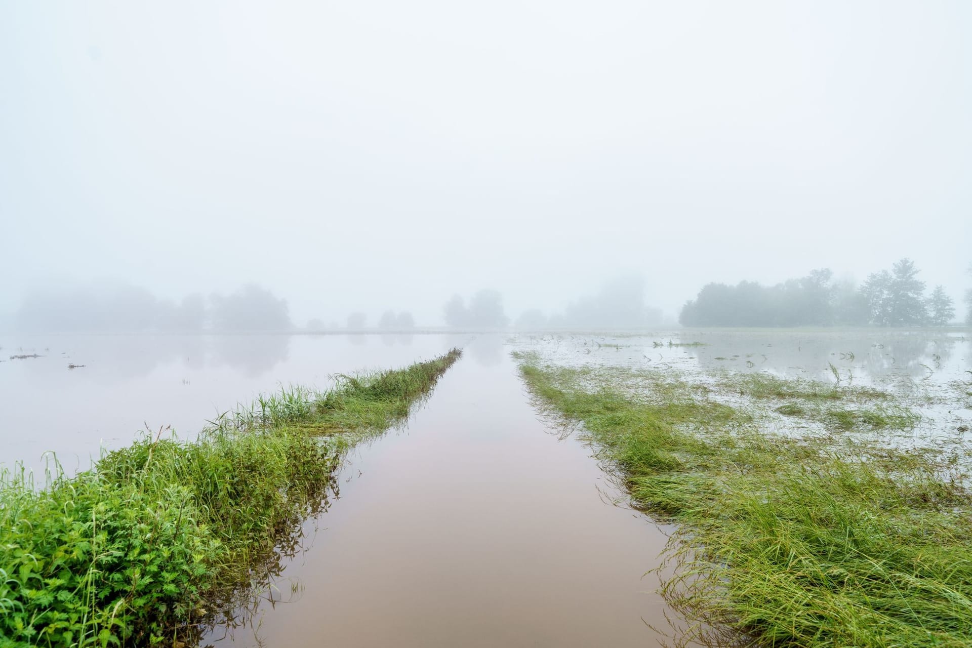 Hochwasser Hochwasser