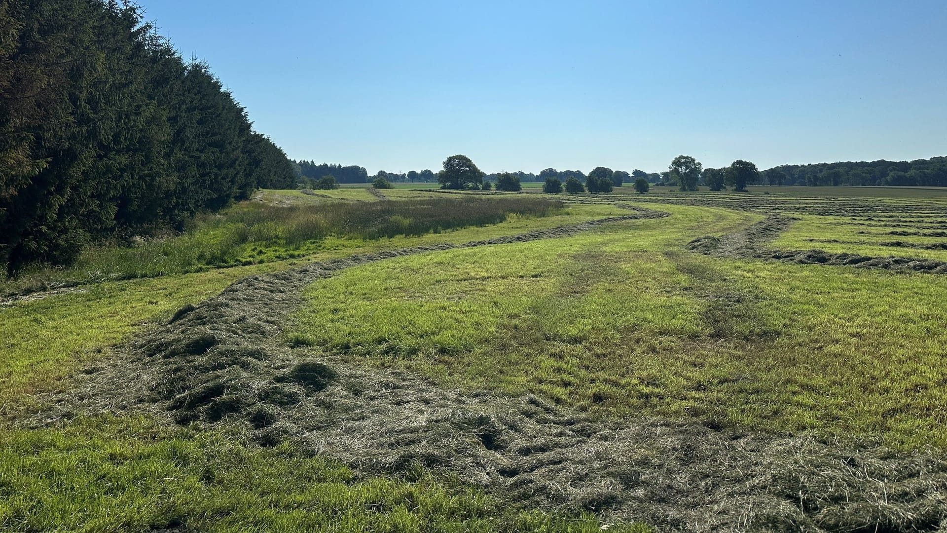 Blick auf eine abgemähte Wiese nahe des Fundeortes einer Kinderleiche im Landkreis Stade. Bei der Leiche handels es sich womöglich um Arian.