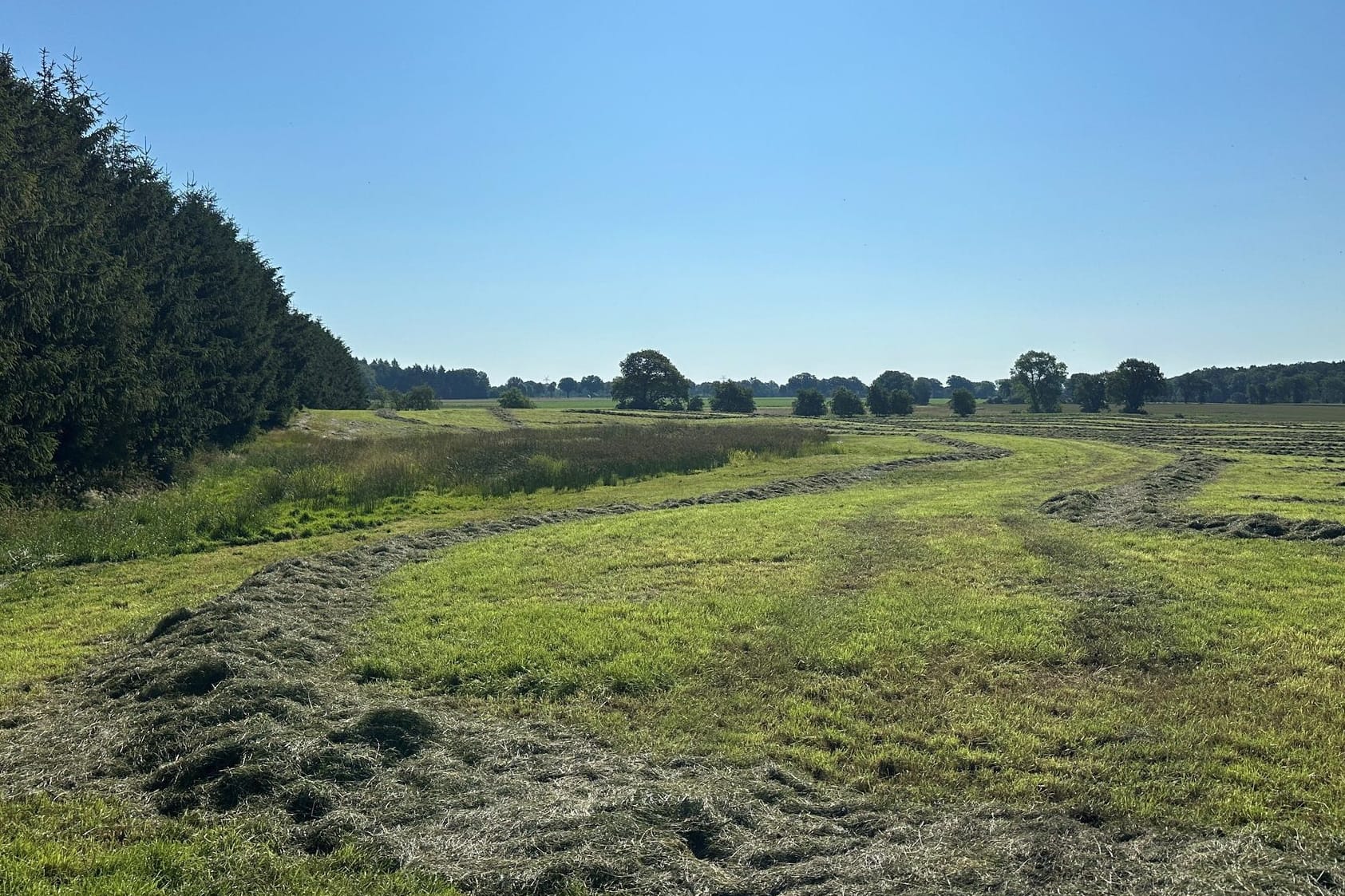 Blick auf eine abgemähte Wiese nahe des Fundeortes einer Kinderleiche im Landkreis Stade. Bei der Leiche handels es sich womöglich um Arian.