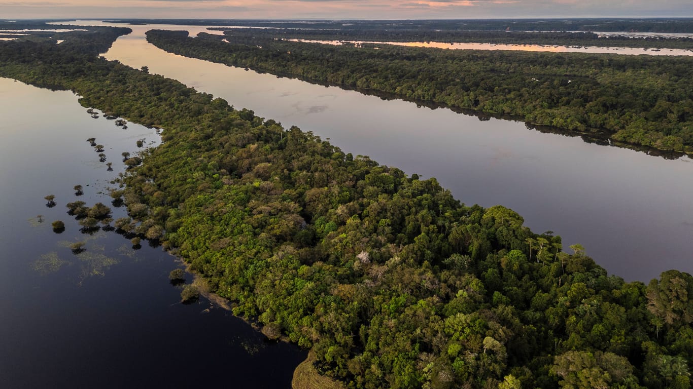 Das Amazonas (Archivbild): Durch die Klimakrise wird auch der Tropenwald bedroht.