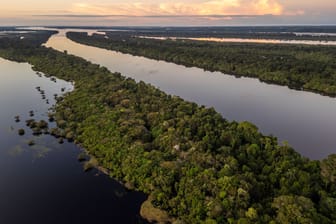 Das Amazonas (Archivbild): Durch die Klimakrise wird auch der Tropenwald bedroht.