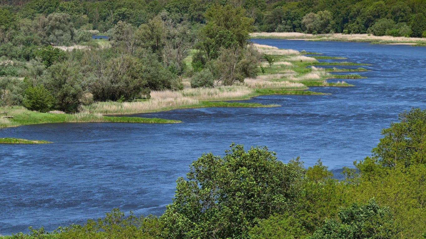 Landschaft am deutsch-polnischen Grenzfluss Oder