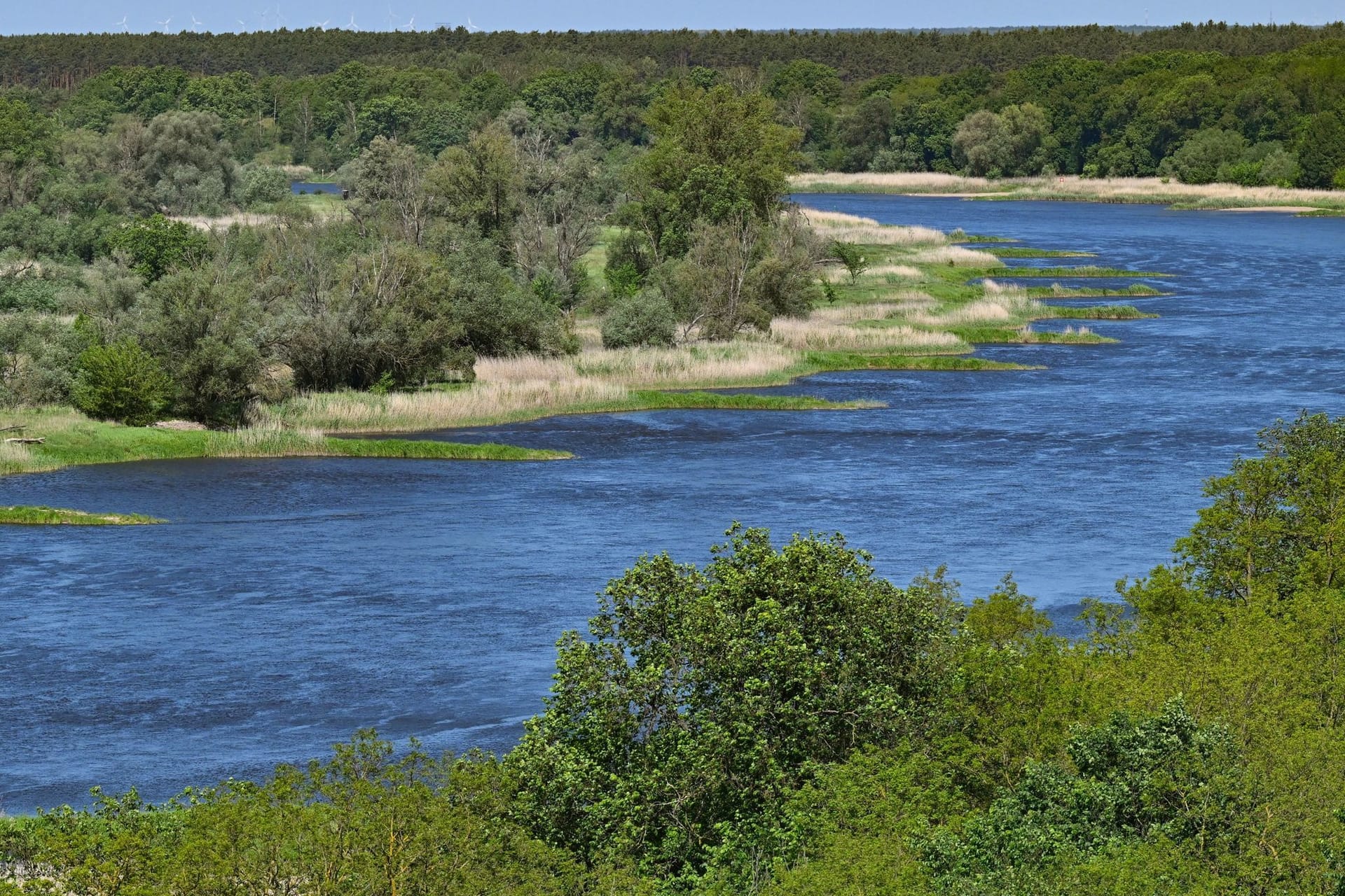 Landschaft am deutsch-polnischen Grenzfluss Oder