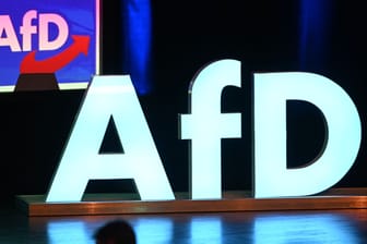 Logo der AfD: Die Partei ist in Ostdeutschland teils auf dem Weg zur Volkspartei, sagt Steffen Mau.