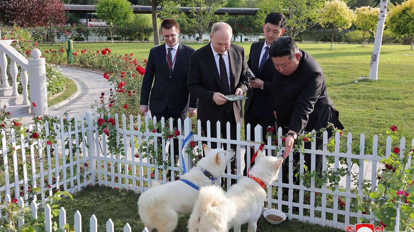 Putin bekommt in Nordkorea Hunde präsentiert: Das nordkoreanische Regime nutzt den Besuch für seine Propaganda.
