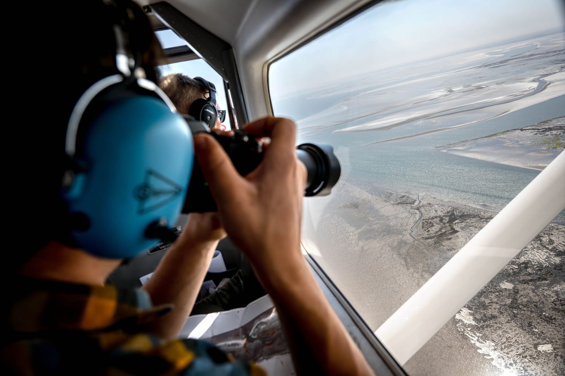 Seehundzählung im Wattenmeer