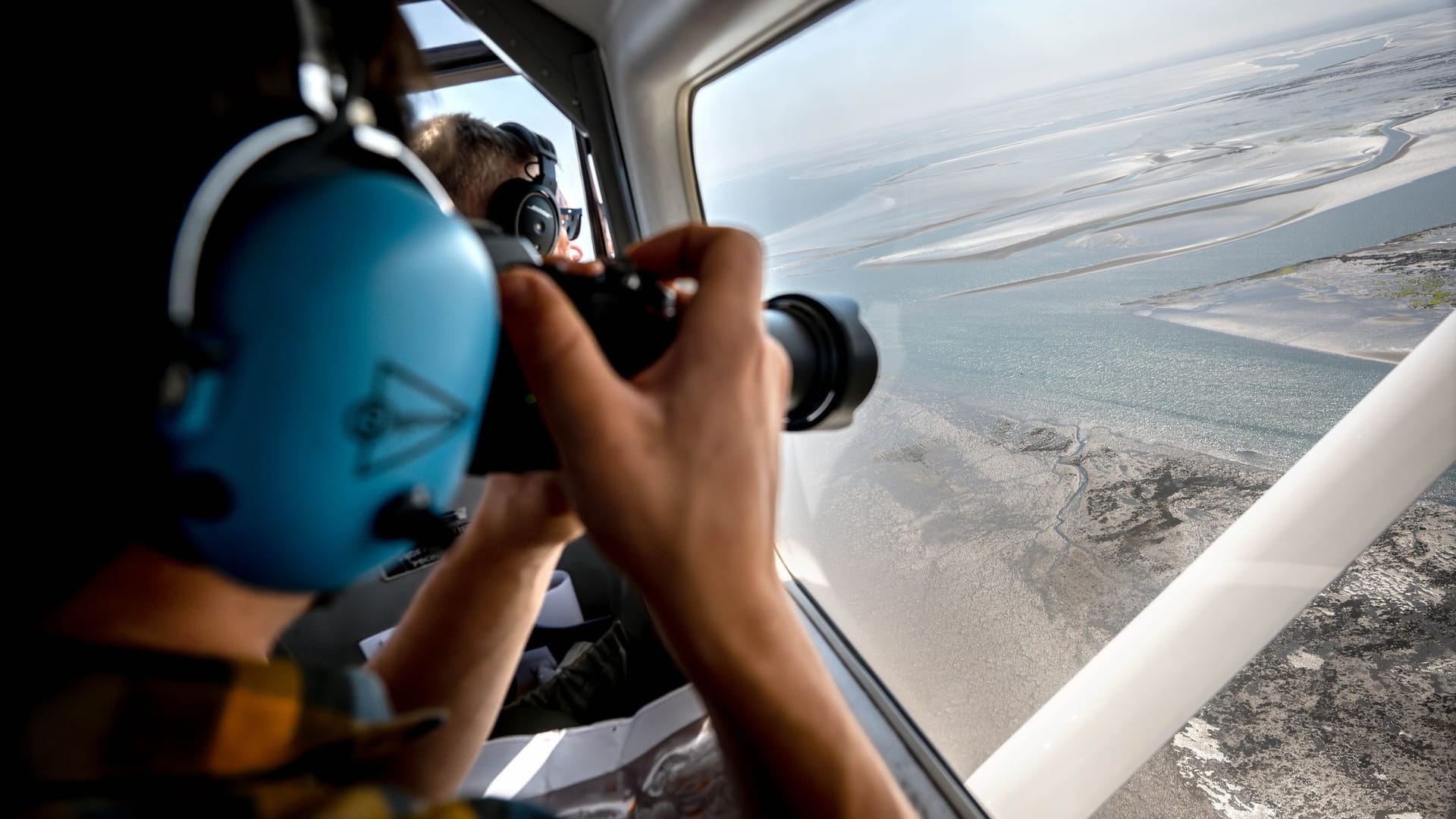 Seehundzählung im Wattenmeer