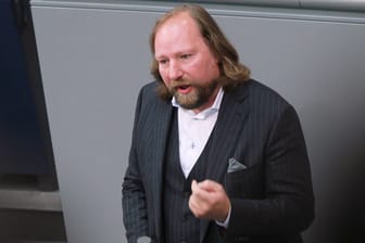 Anton Hofreiter: Der Grünen-Politiker schießt gegen die eigene Partei.