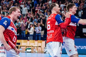 Großer Jubel bei Hamburgs Handballern (Archivbild): Der HSVH hat am Mittwoch endgültig die Lizenz für die Bundesliga bekommen.