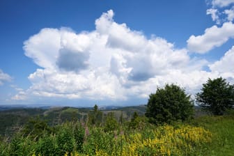 Wolken über dem Harz: Die Temperaturen fallen in Deutschland voraussichtlich deutlich.