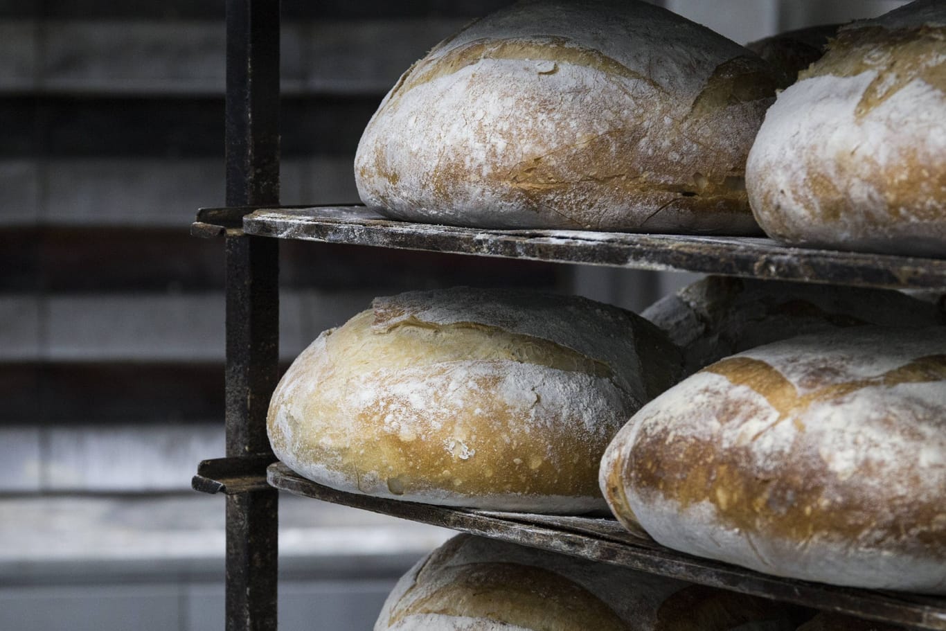Frisch gebackenes Brot liegt in einem Regal (Symbolbild): Die Bremer Bäckerei Trage schließt Ende Juni nach 146 Jahren.