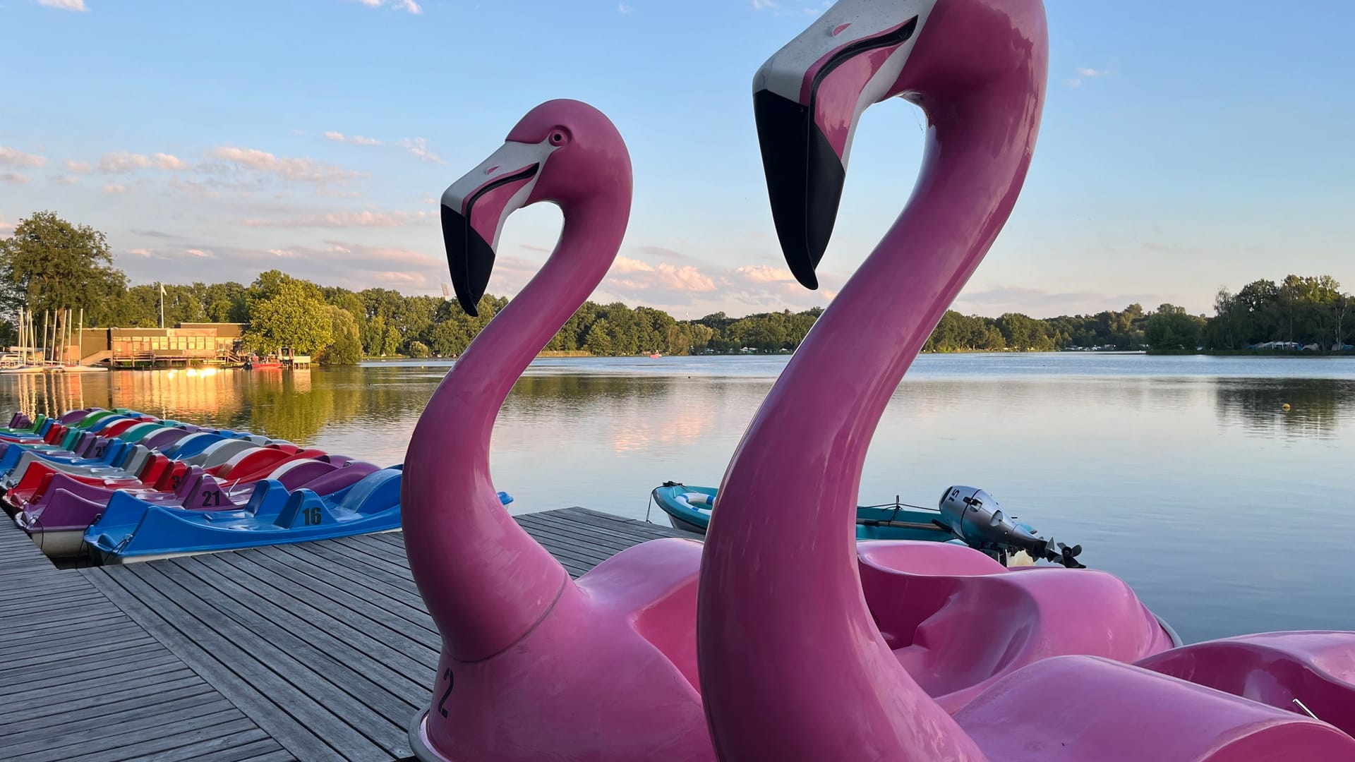 Das Festivalgelände liegt rund um den Dutzendteich: Wer zu betrunken ist, bekommt weder einen Flamingo noch ein normales Tretboot.