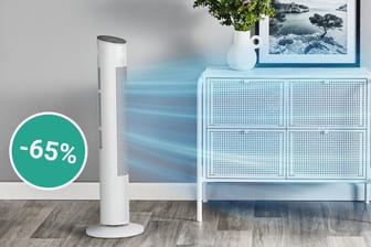 Exklusiv für t-online-Leser: Bei Rowenta bekommen Sie jetzt einen Turmventilator mit doppeltem Rabatt zum Rekord-Tiefpreis.