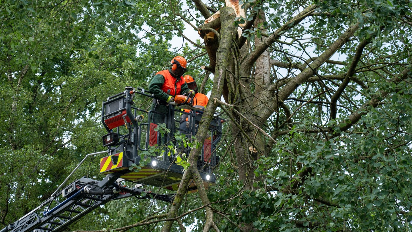 In der Gemeinde Tostedt ist ein Blitz in einem Baum eingeschlagen: Die Feuerwehr musste den Baum nach dem Gewitter fällen.