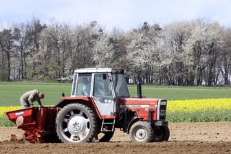 Traktor mit Setzmaschine (Symbolbild): Für die Frau kam jede Hilfe zu spät.