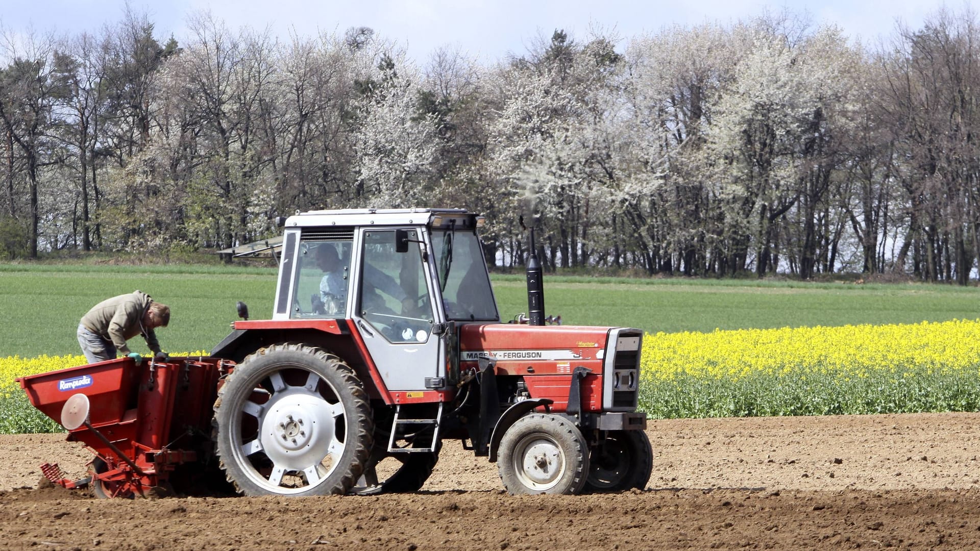 Traktor mit Setzmaschine (Symbolbild): Für die Frau kam jede Hilfe zu spät.