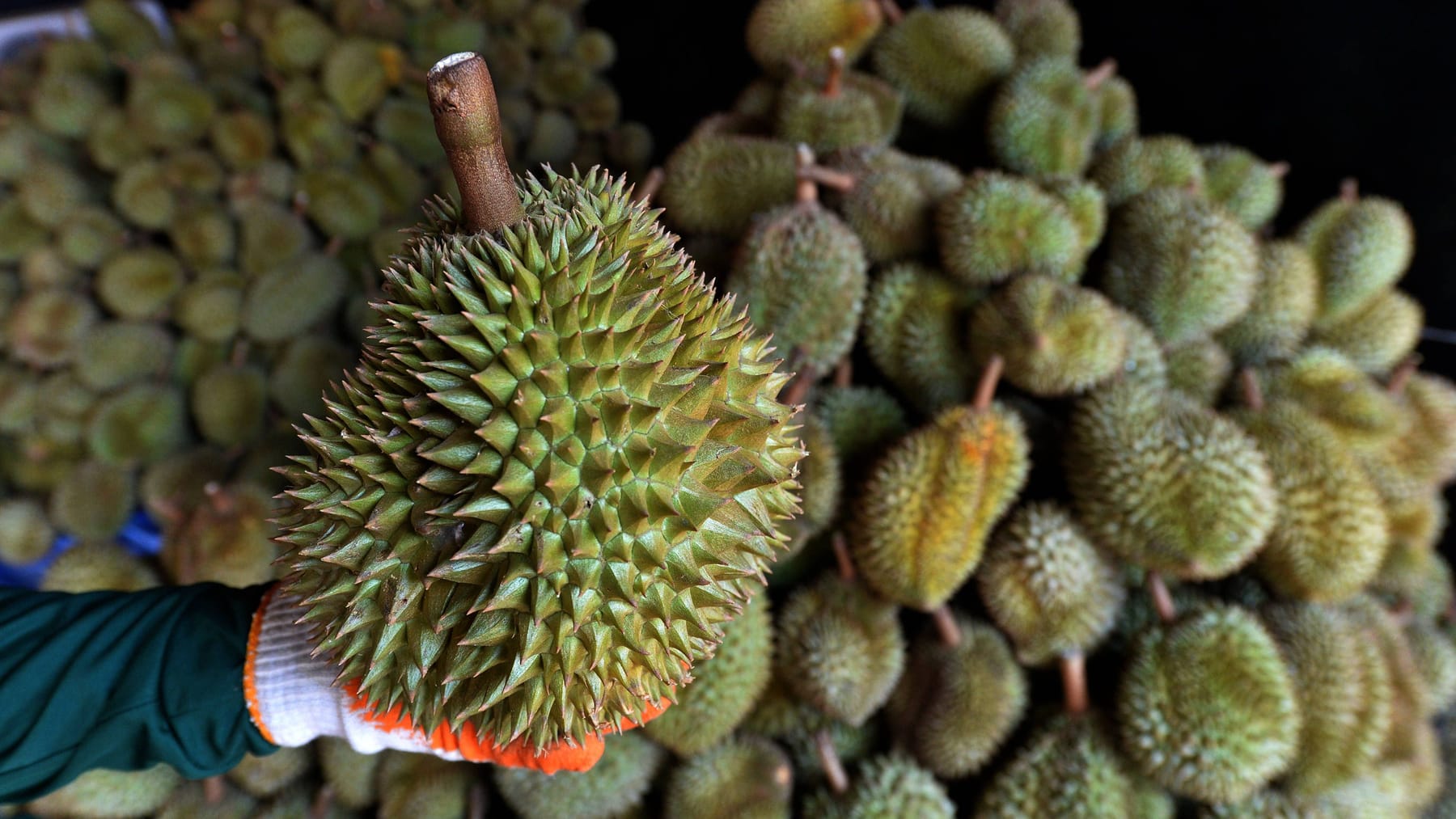 Stinkfrucht Durian: Kennen Sie schon dieses Superfood?