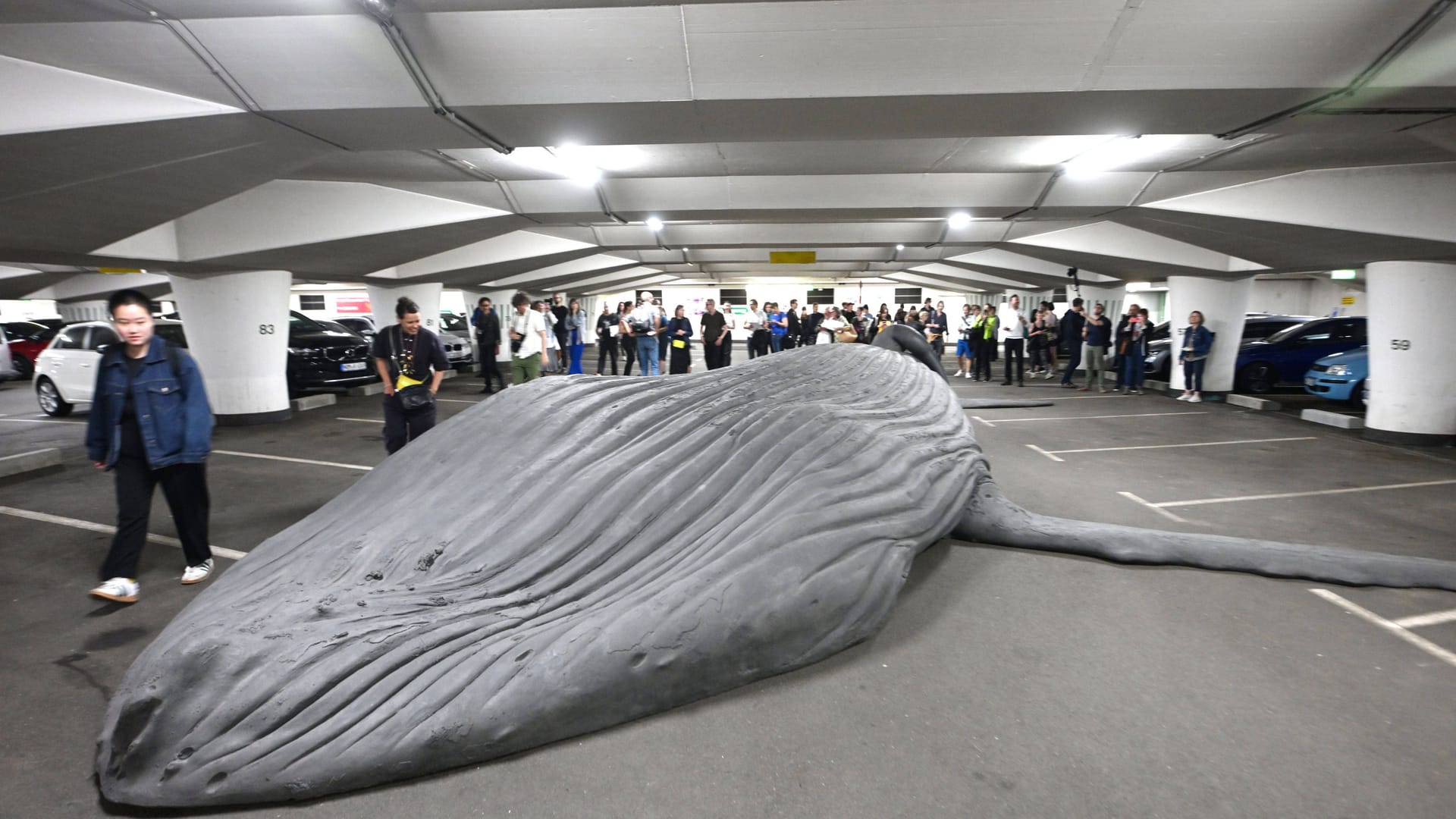 Der Wal im Parkhaus von Chemnitz ist ein echter Wal und ein Teil eines "Public Art"-Projektes.