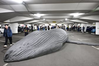 Der Wal im Parkhaus von Chemnitz ist ein echter Wal und ein Teil eines "Public Art"-Projektes.