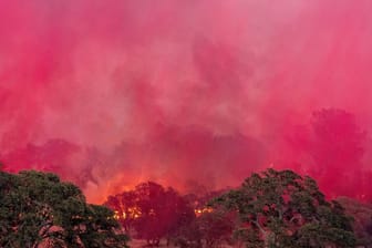 Waldbrände in Kalifornien