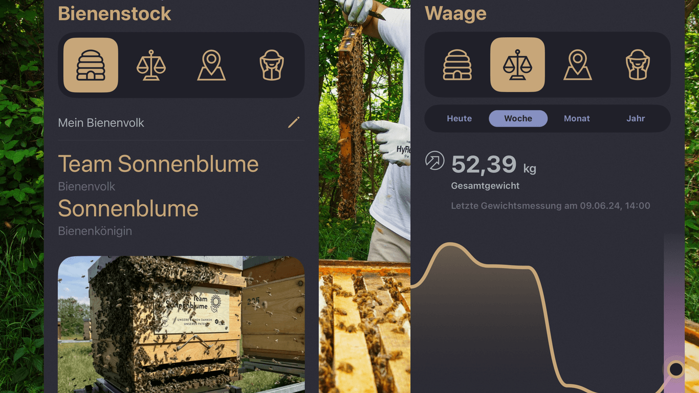 Über eine App können die Paten ihren Bienenstock im Blick behalten – wenn er nicht auf dem Firmengelände steht.
