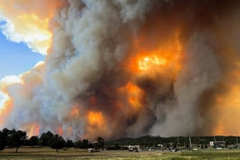 Waldbrand im US-Bundesstaat New Mexico: Mindestens eine Person wurde getötet, Tausende mussten ihre Häuser verlassen.