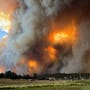 USA | New Mexico: Mindestens ein Toter bei Waldbrand – Tausende evakuiert