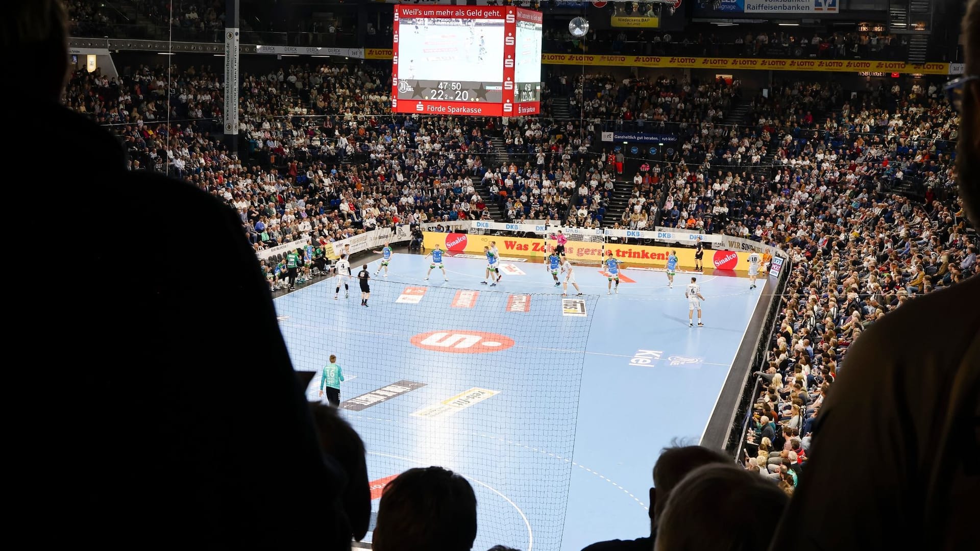 Handball-Fans