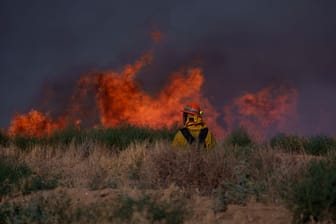 Waldbrand in Kalifornien