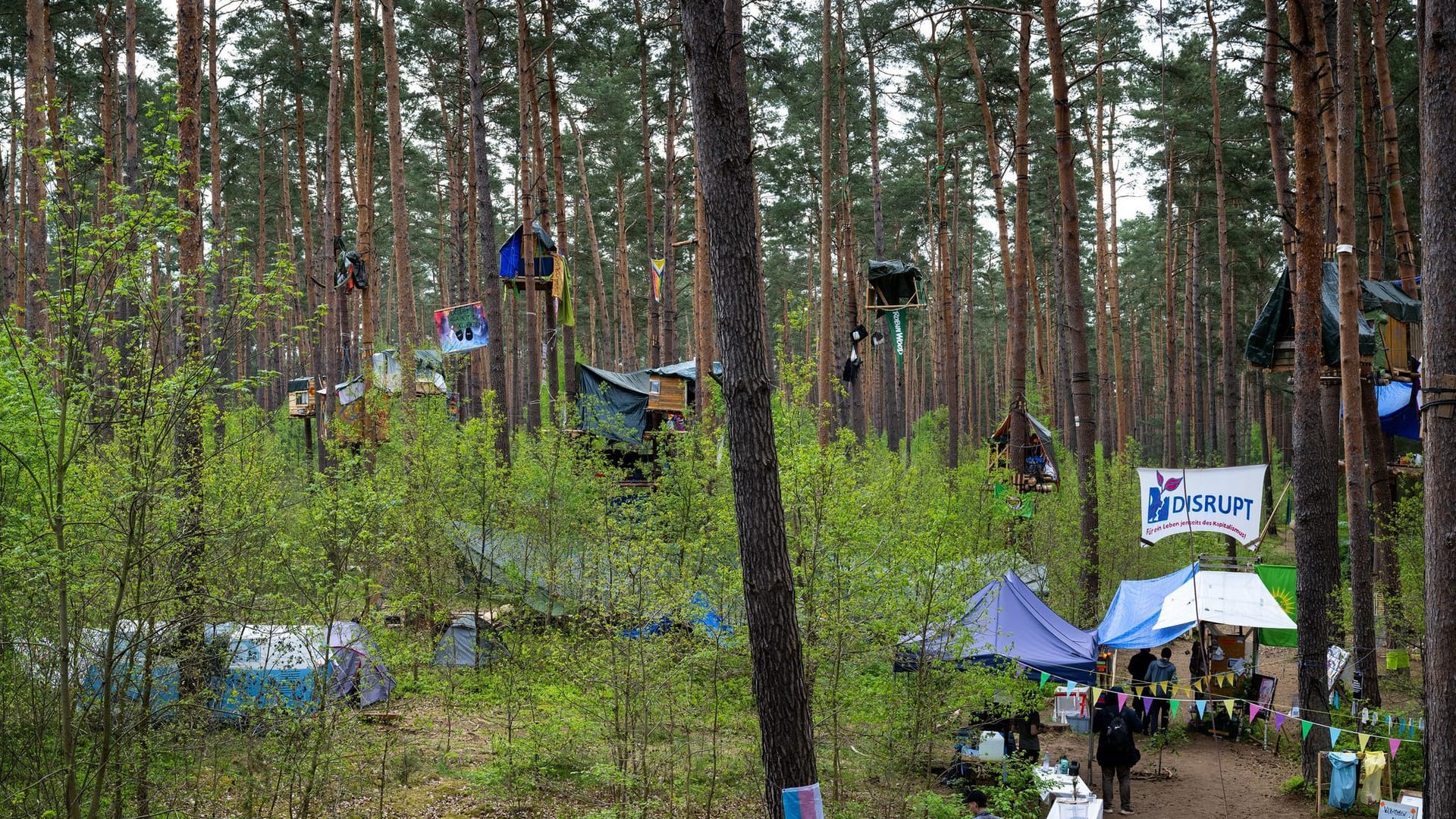 So lange hat das Protestcamp auf dem geplanten Tesla-Ausbaugelände ausgeharrt. Jetzt vertreibt sie womöglich eine Bombe.