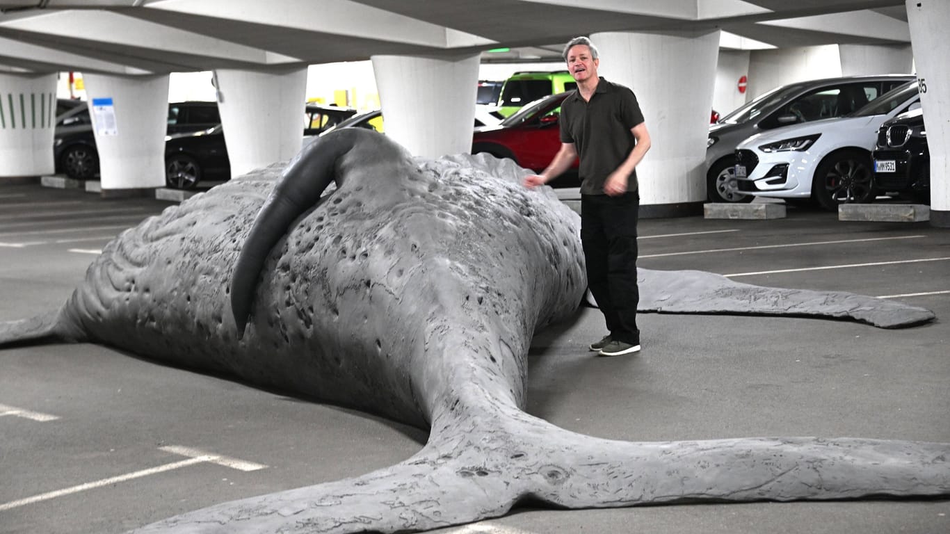 So groß und so zerbrechlich: Der Wal von Gil Schachar, zu sehen in Chemnitz.