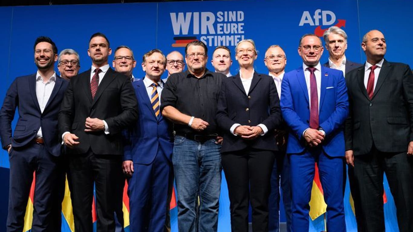 12 Männer, nur eine Frau: Der neue Vorstand der AfD.
