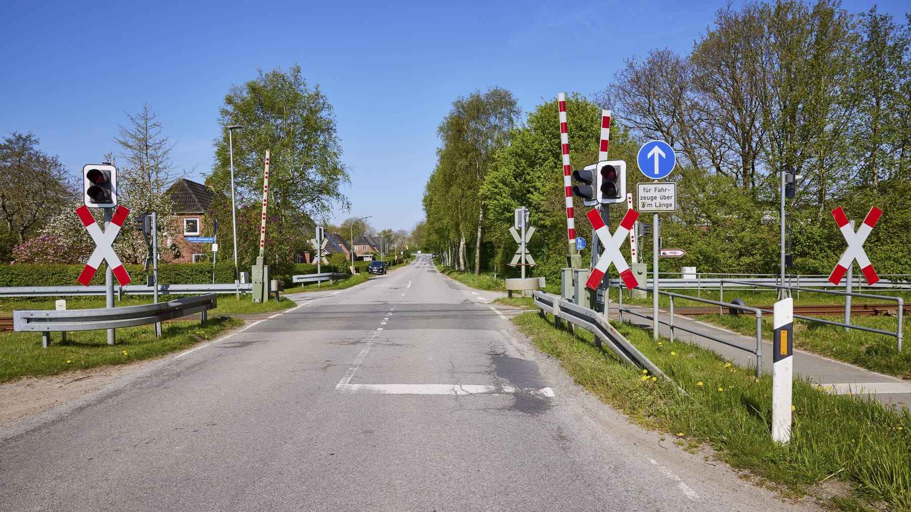 Niebüll ormanında ölü kadın – cinayet soruşturması