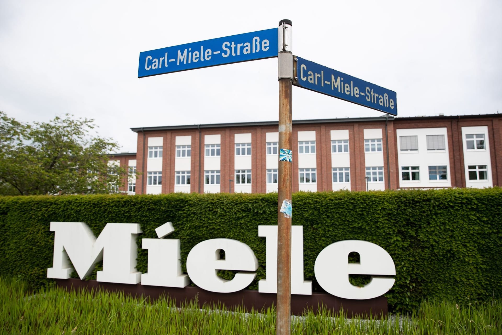 Miele