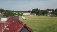 Sermuth bei Leipzig: Terror-Storch attackiert Anwohner in..