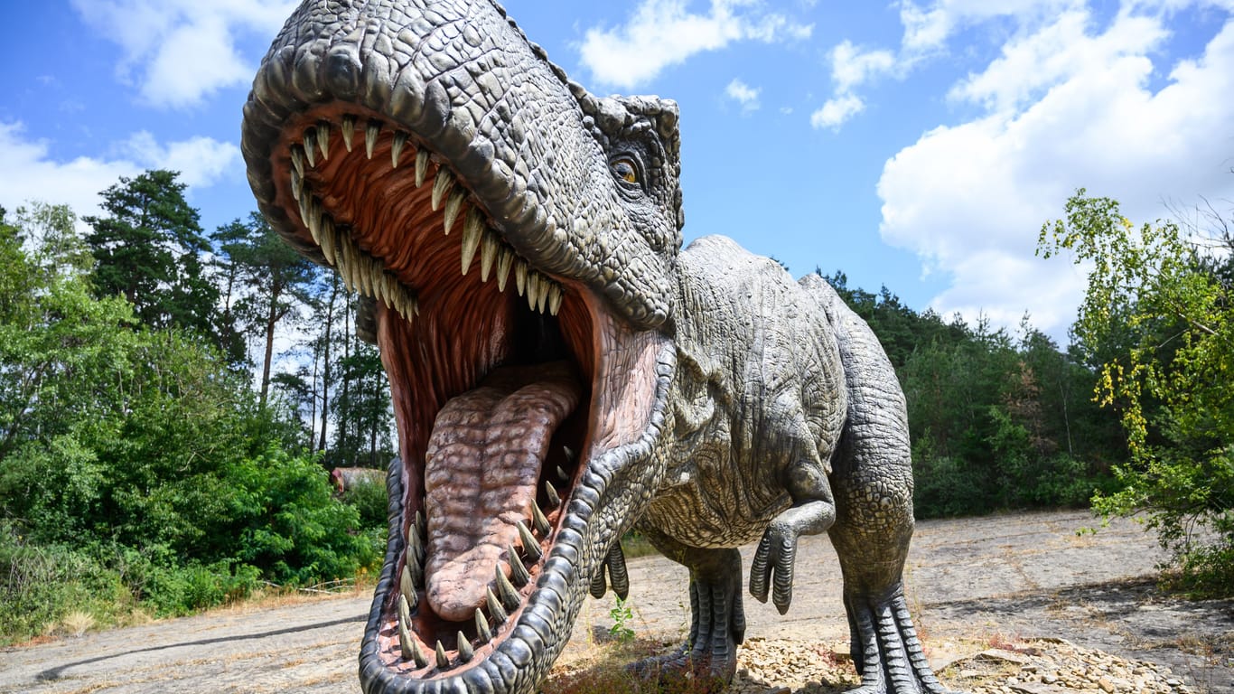Auch ein Modell des Tyrannosaurus Rex gibt es im Dinopark Münchehagen zu bestaunen.