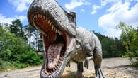 Ausflugstipp "Jurassic Park": Dinopark Münchehagen lockt mit echten Spuren