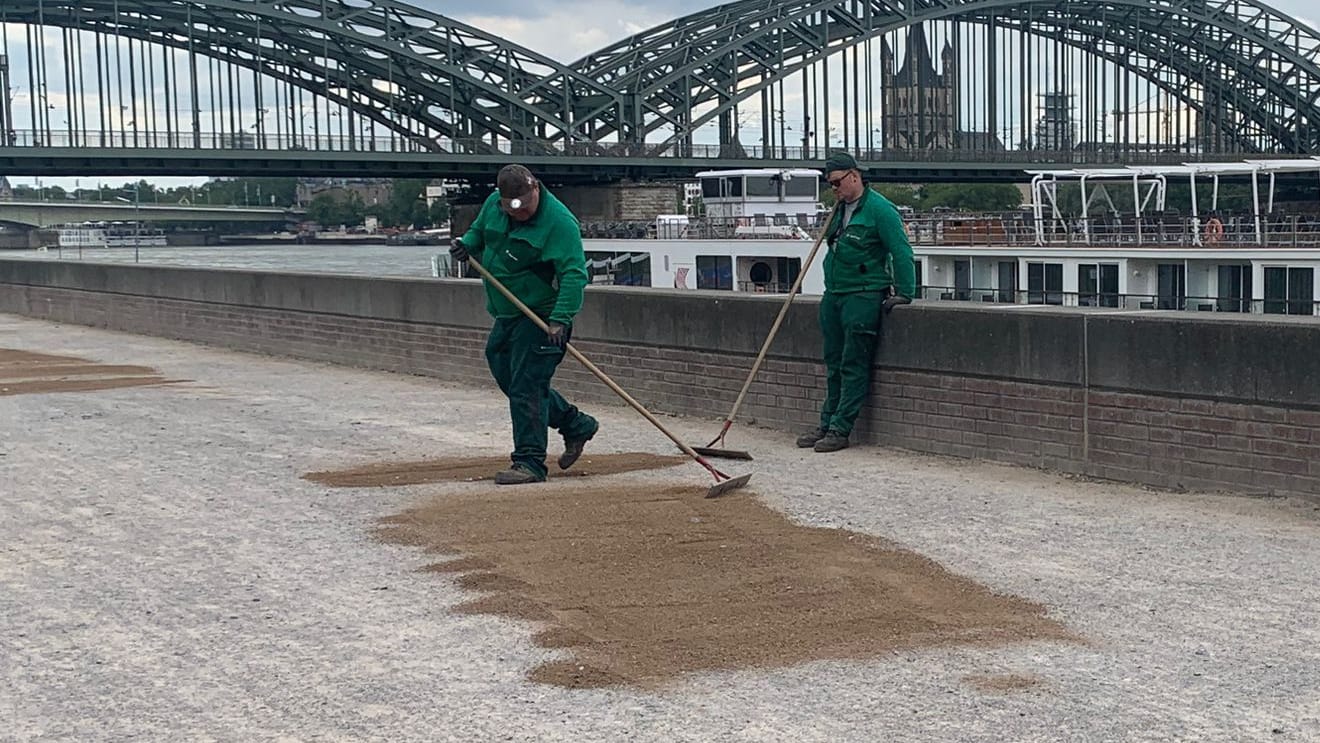 Noch ist viel zu tun: Mitarbeiter der Stadt schütten Sand am Rheinufer auf.